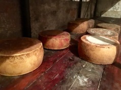 Pag Island cheese tasting - Real Food Adventure Slovenia and Croatia